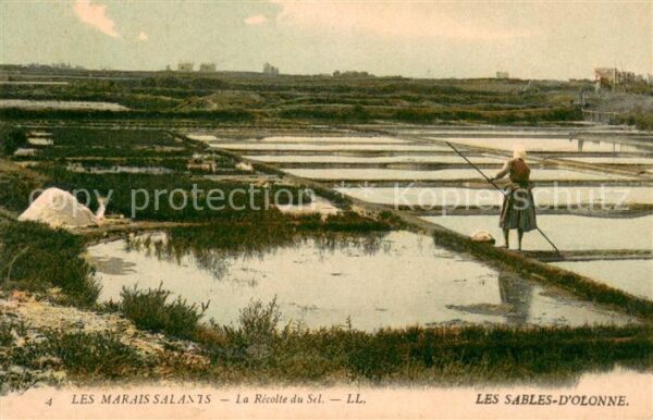 Les Sables-d Olonne Les Marais Salants La Recolte du Sel