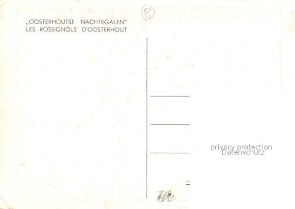Le Rossignol Oosterhoutse Nachtegalen – Bild 2