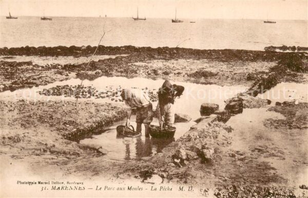 Marennes Charente-Maritime Le Parc aux Moules La Peche