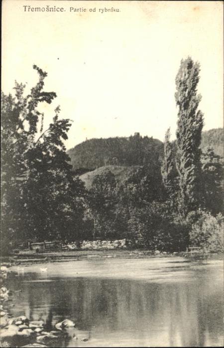 Tremosnice Rybniku