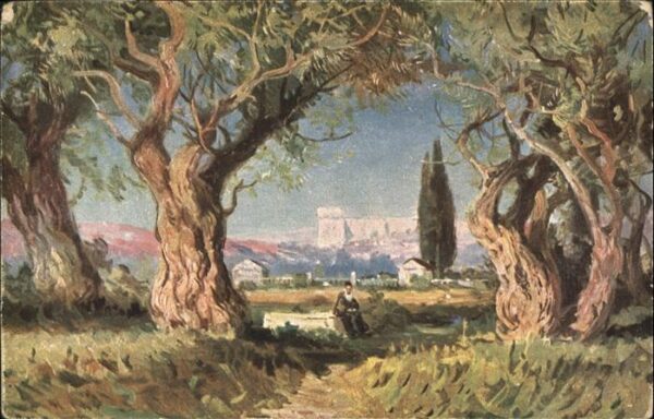 Jerusalem Yerushalayim Jerusalem Gethsemane Garten