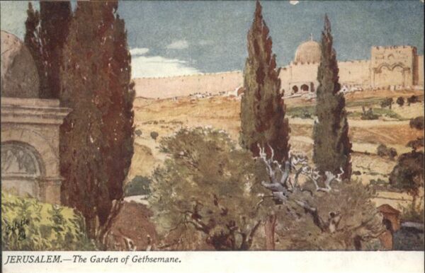 Jerusalem Yerushalayim Jerusalem Garden Gethsemane