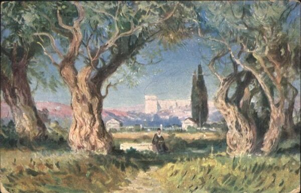Jerusalem Yerushalayim Jerusalem Garten Gethsemane