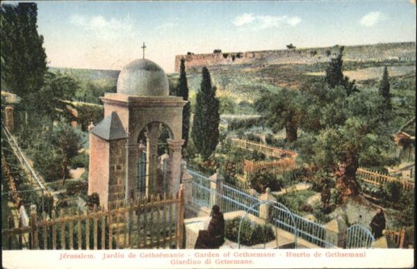 Jerusalem Yerushalayim Jerusalem Jardin Gethsemanie Garden Get