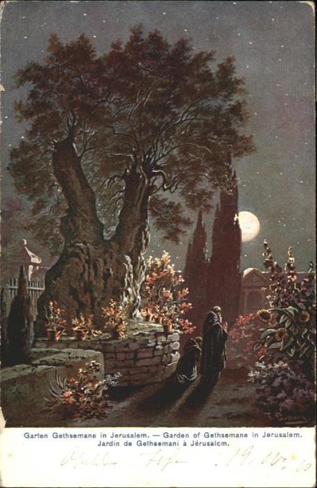 Jerusalem Yerushalayim Jerusalem Garten Gethsemane Garden Jard