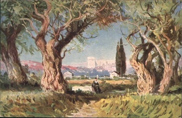 Jerusalem Yerushalayim Jerusalem Garten Gethsemane