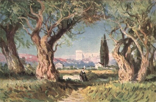 Jerusalem Yerushalayim Jerusalem Garten Gethsemane