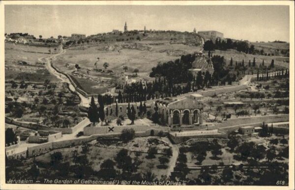 Jerusalem Yerushalayim Jerusalem Garden Gethsemane Mount Olive