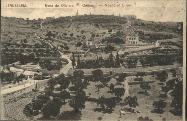 Jerusalem Yerushalayim Jerusalem Mont Oliviers Mount Olives Oe