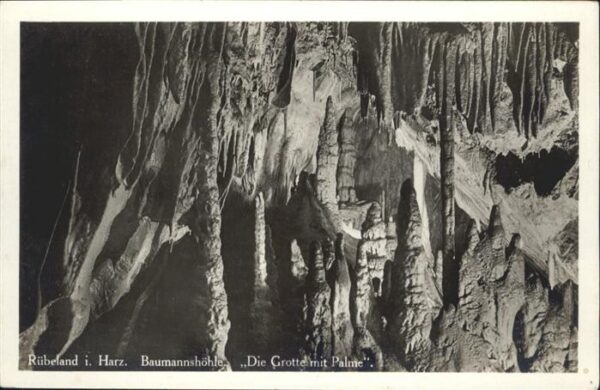 Hoehlen Caves Grottes Tropfsteinhöhle Rübeland Baumannshöhle