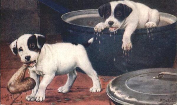 Hunde Oilette