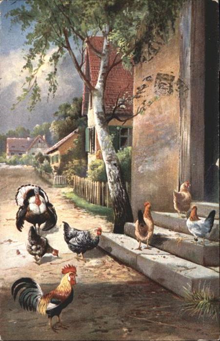 Tiere Hühner