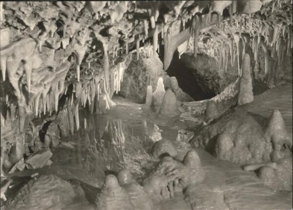 Hoehlen Caves Grottes Tropfstein Eberstadt Haifischrachen