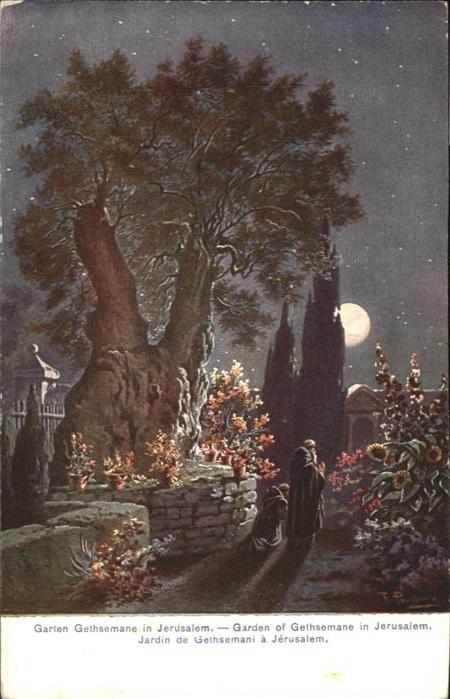 Jerusalem Yerushalayim Jardin Gethsemani Garden Gethsemane