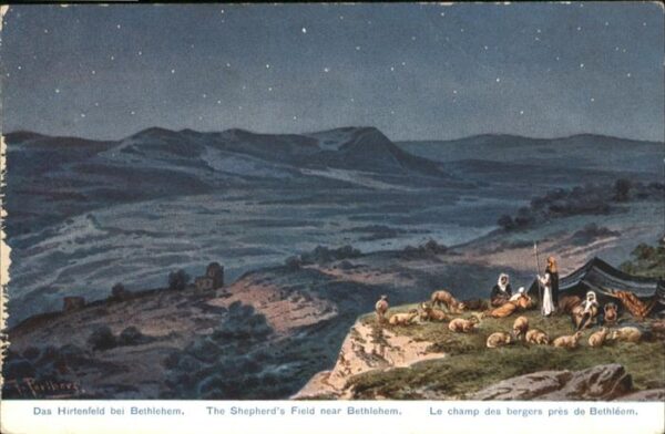 Bethelehem Shepherds Hirtenfeld Schafe