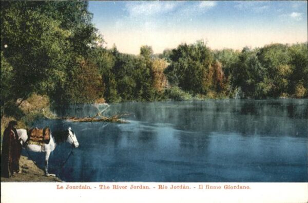 River Jordan Pferd