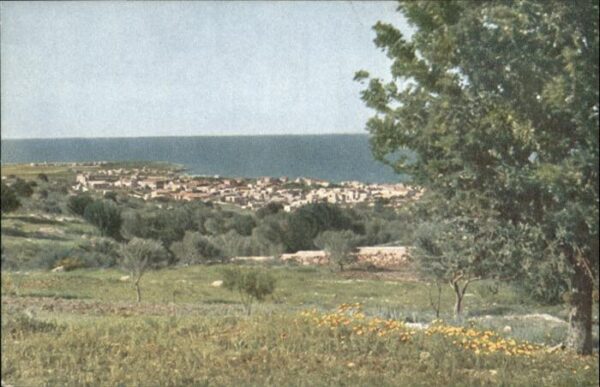 Haifa Caifa