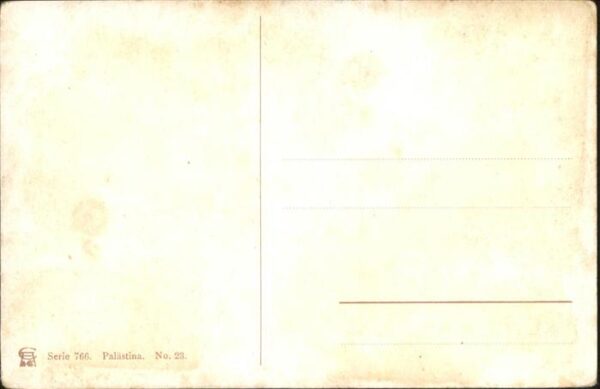 Mount Sinai Kamel – Bild 2