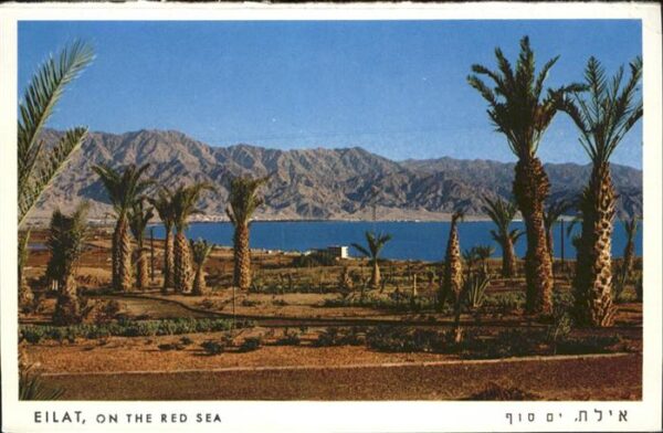 Eilat Eilath Israel Red Sea