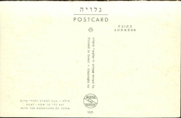 Eilat Eilath Israel Red Sea – Bild 2
