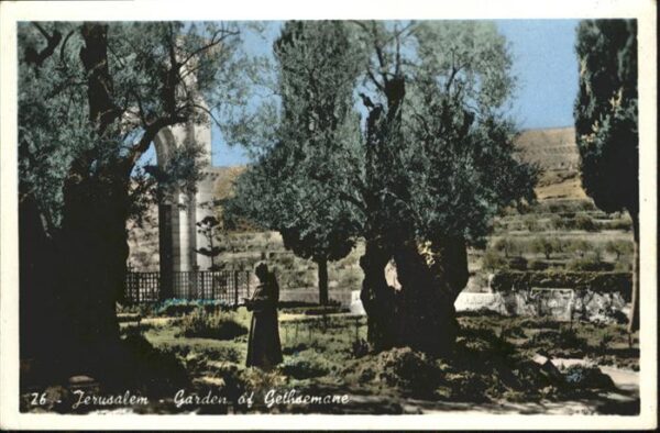 Jerusalem Yerushalayim Garden of Gethsemane
