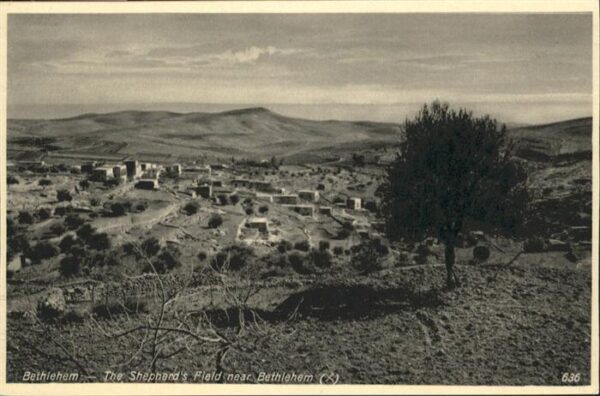 Bethlehem Yerushalayim  Sheppherds Field
