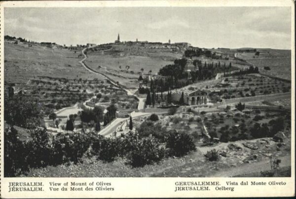 Jerusalem Yerushalayim Mount Olives