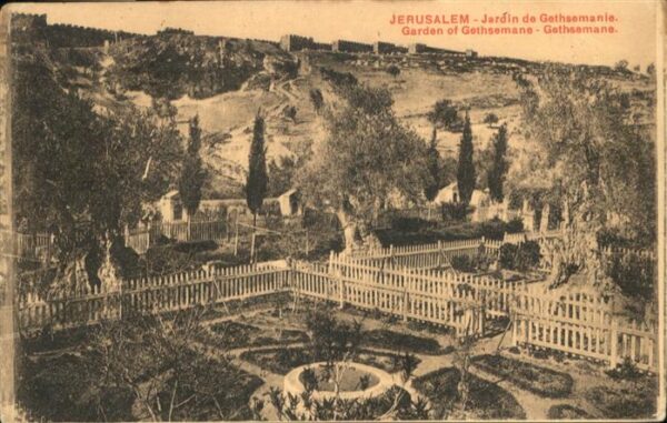 Jerusalem Yerushalayim Garden Gethsemane