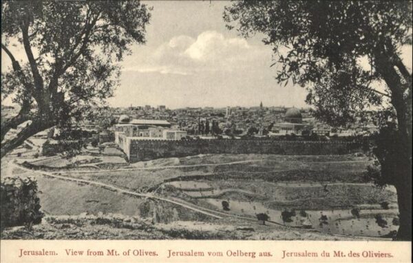 Jerusalem Yerushalayim From Olives