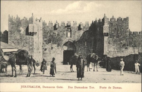 Jerusalem Yerushalayim Damascus Gate Kamel Esel