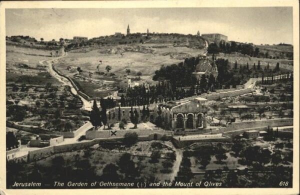 Jerusalem Yerushalayim Garden Gethsemane Mount Olives
