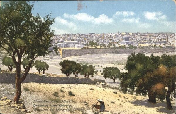 Jerusalem Yerushalayim from Olivet