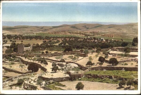 Bethlehem Yerushalayim  Towards Desert Shepherds