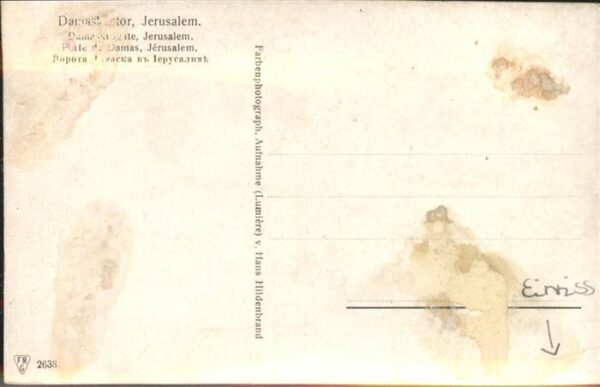 Jerusalem Yerushalayim Damaskustor Schafe – Bild 2