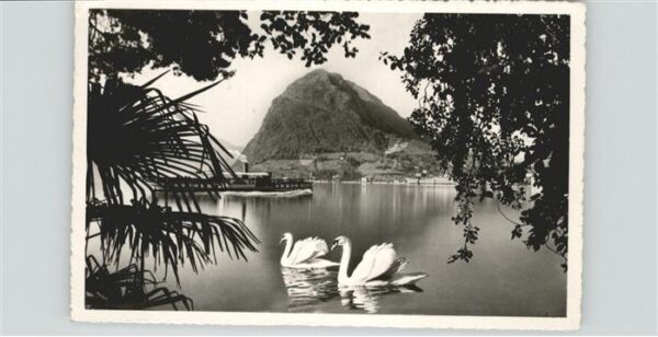 Dampfer Binnenschifffahrt Lago di Lugano