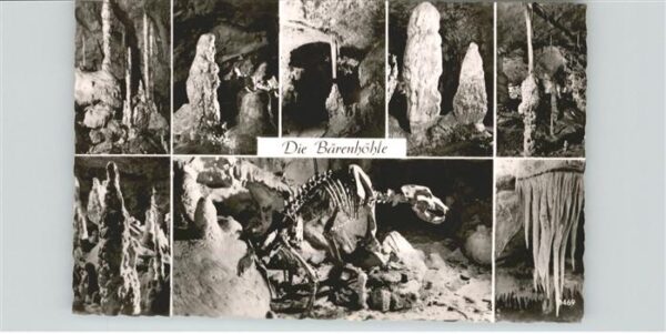 Hoehlen Caves Grottes Tropfstein Bärenhöhle