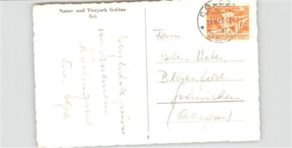 Tiere Reh Tierpark Goldau – Bild 2