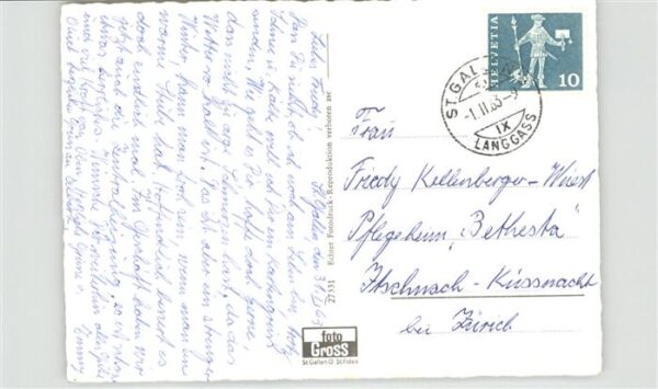 Hunde Katze – Bild 2