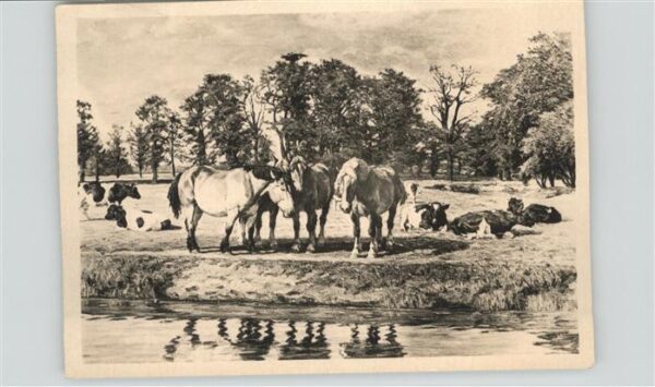 Verlag HDK Nr. 548 München Willy Tag Viehweide an der
