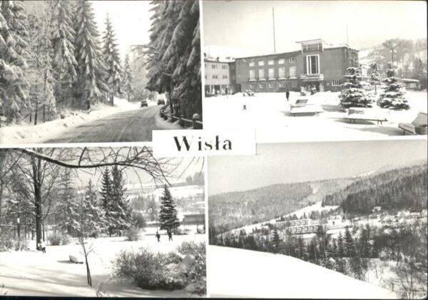 Wista Winter