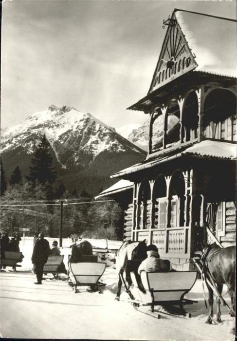 Hohen Tatra Pferdeschlitten