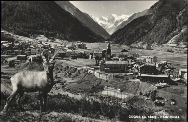 Cogne 1534 m