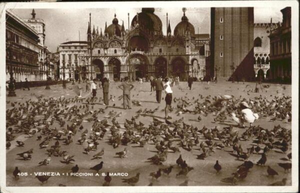 Venezia Venedig I Piccioni A S. Marco Tauben