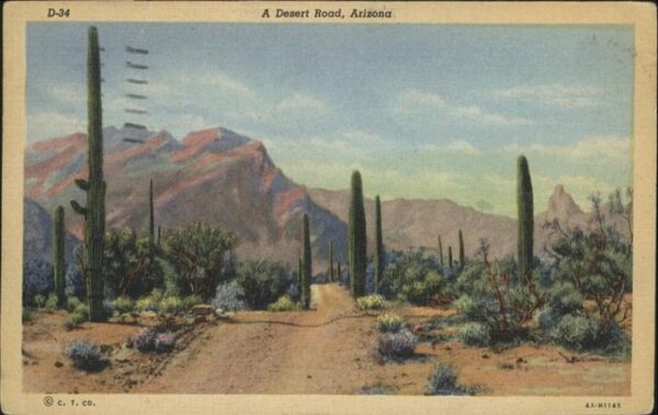 Arizona Desert Road