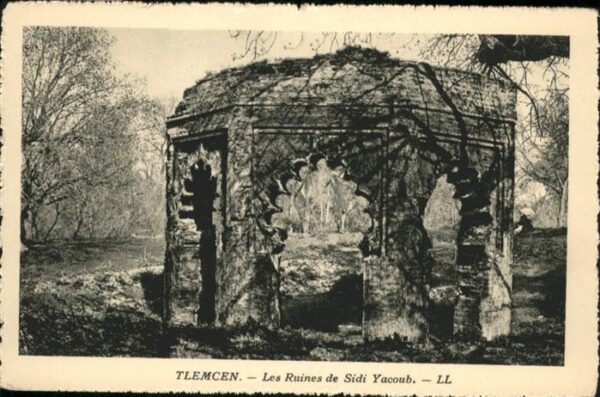 Tlemcen Ruines Sidi Yacoub