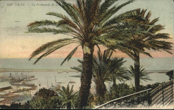Oran Algerie