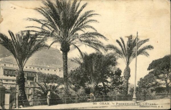 Oran Algerie