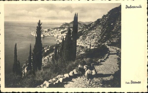 Dubrovnik Ragusa Esel