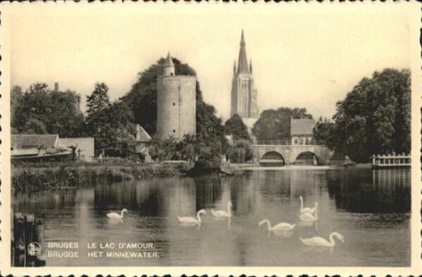 Bruges BRUGGE Belgie Het Minnewater Schwan