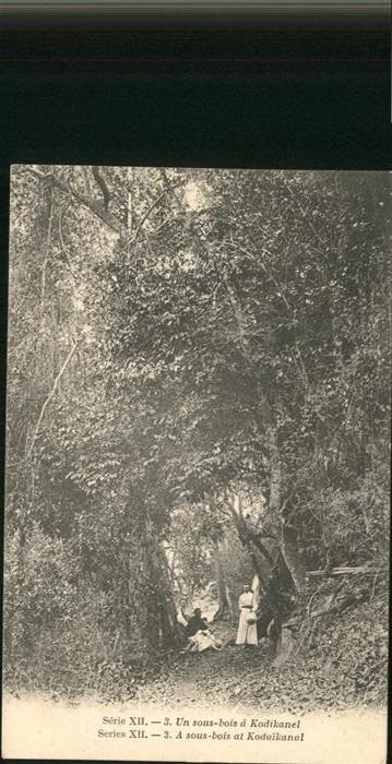 Kodaikanal Un Sous Bois